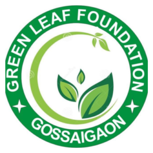 GSL-P Partners Logo (7)
